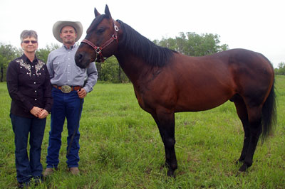 Josie & Peter Veer with stallion, Clymer Pine